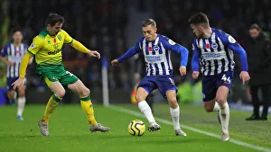 Brighton and Hove Albion vs. Norwich City: Premier League Battle at American Express Community Stadium (November 2, 2019)