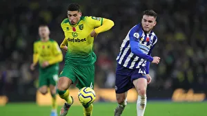 Brighton and Hove Albion vs. Norwich City: Premier League Showdown at American Express Community Stadium (November 2, 2019)