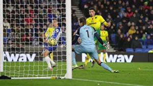 Brighton and Hove Albion vs. Norwich City: Premier League Showdown at American Express Community Stadium (November 2, 2019)