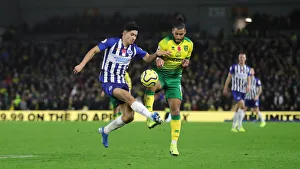 Brighton and Hove Albion vs. Norwich City: Premier League Showdown at American Express Community Stadium (November 2, 2019)
