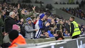 Brighton and Hove Albion vs. Norwich City: Premier League Showdown at American Express Community Stadium (November 2, 2019)