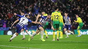 Brighton and Hove Albion vs. Norwich City: Premier League Showdown at American Express Community Stadium (November 2, 2019)