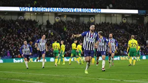 Brighton and Hove Albion vs. Norwich City: Premier League Showdown at American Express Community Stadium (November 2, 2019)