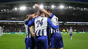 Brighton and Hove Albion vs. Norwich City: Premier League Showdown at American Express Community Stadium (November 2, 2019)