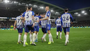 Brighton and Hove Albion vs. Norwich City: Premier League Showdown at American Express Community Stadium (November 2, 2019)