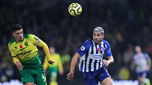 Brighton and Hove Albion vs. Norwich City: Premier League Showdown at American Express Community Stadium (Nov. 2, 2019)