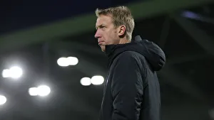Brighton and Hove Albion vs. Norwich City: Premier League Showdown at American Express Community Stadium (November 2, 2019)