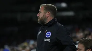 Brighton and Hove Albion vs. Norwich City: Premier League Showdown at American Express Community Stadium (November 2, 2019)