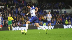 Brighton and Hove Albion vs. Norwich City: Premier League Showdown at American Express Community Stadium (November 2, 2019)