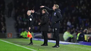 Brighton and Hove Albion vs. Norwich City: Premier League Showdown at American Express Community Stadium (November 2, 2019)