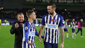 Brighton and Hove Albion vs. Norwich City: Premier League Showdown at American Express Community Stadium (November 2, 2019)