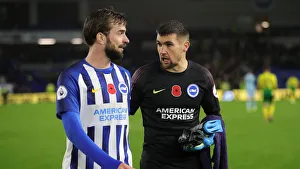 Brighton and Hove Albion vs. Norwich City: Premier League Showdown at American Express Community Stadium (November 2, 2019)