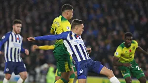 Brighton and Hove Albion vs. Norwich City: Premier League Showdown at American Express Community Stadium (November 2, 2019)