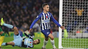 Brighton and Hove Albion vs. Norwich City: Premier League Showdown at American Express Community Stadium (November 2, 2019)