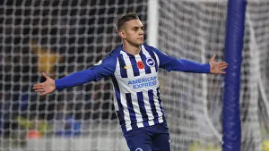 Brighton and Hove Albion vs. Norwich City: Premier League Showdown at American Express Community Stadium (November 2, 2019)