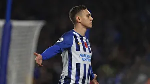 Brighton and Hove Albion vs. Norwich City: Premier League Showdown at American Express Community Stadium (November 2, 2019)