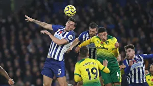 Brighton and Hove Albion vs. Norwich City: Premier League Showdown at American Express Community Stadium (November 2, 2019)