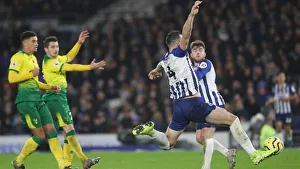 Brighton and Hove Albion vs. Norwich City: Premier League Showdown at American Express Community Stadium (November 2, 2019)