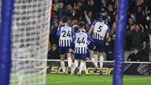 Brighton and Hove Albion vs. Norwich City: Premier League Showdown at American Express Community Stadium (November 2, 2019)