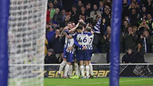 Brighton and Hove Albion vs. Norwich City: Premier League Showdown at American Express Community Stadium (November 2, 2019)