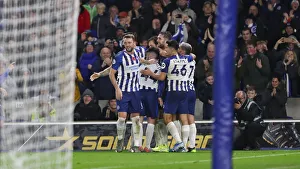 Brighton and Hove Albion vs. Norwich City: Premier League Showdown at American Express Community Stadium (November 2, 2019)