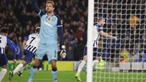 Brighton and Hove Albion vs. Norwich City: Premier League Showdown at American Express Community Stadium (November 2, 2019)