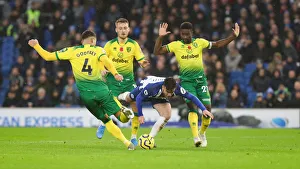 Brighton and Hove Albion vs. Norwich City: Premier League Showdown at American Express Community Stadium (November 2, 2019)