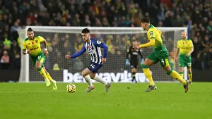 Brighton and Hove Albion vs. Norwich City: Premier League Showdown at American Express Community Stadium (November 2, 2019)