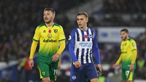 Brighton and Hove Albion vs. Norwich City: Premier League Showdown at American Express Community Stadium (November 2, 2019)