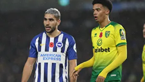 Brighton and Hove Albion vs. Norwich City: Premier League Showdown at American Express Community Stadium (November 2, 2019)