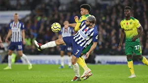 Brighton and Hove Albion vs. Norwich City: Premier League Showdown at American Express Community Stadium (November 2, 2019)