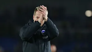 Brighton and Hove Albion vs. Norwich City: Premier League Showdown at American Express Community Stadium (November 2, 2019)