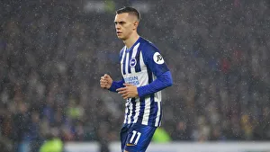 Brighton and Hove Albion vs. Leicester City: Premier League Showdown at American Express Community Stadium (November 23, 2019)