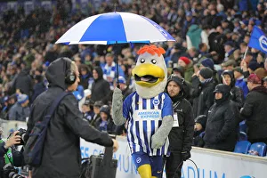 Brighton and Hove Albion vs. Leicester City: Premier League Showdown at American Express Community Stadium (November 2019)