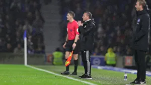 Brighton & Hove Albion vs. Leicester City: Premier League Battle at American Express Community Stadium (Nov. 23, 2019)