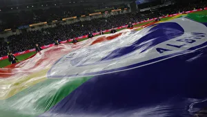 Brighton and Hove Albion vs. Wolverhampton Wanderers: Premier League Battle at American Express Community Stadium (08DEC19)
