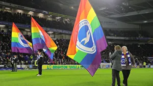 Brighton and Hove Albion vs. Wolverhampton Wanderers: A Premier League Clash at American Express Community Stadium (08DEC19)