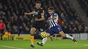 Brighton and Hove Albion vs. Wolverhampton Wanderers: Premier League Battle at American Express Community Stadium (08DEC19)
