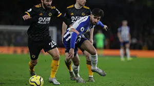 Brighton and Hove Albion vs. Wolverhampton Wanderers: A Premier League Showdown at American Express Community Stadium (08DEC19)