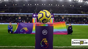Brighton and Hove Albion vs. Wolverhampton Wanderers: Premier League Battle at American Express Community Stadium (08DEC19)