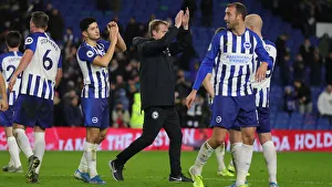 Brighton and Hove Albion vs. Wolverhampton Wanderers: Premier League Battle at American Express Community Stadium (08DEC19)