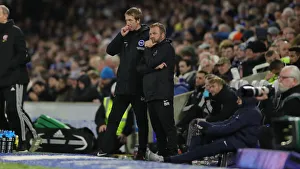 Brighton and Hove Albion vs. Sheffield United: Premier League Battle at American Express Community Stadium (21DEC19)
