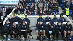Brighton & Hove Albion vs. Sheffield Wednesday: FA Cup Showdown at American Express Community Stadium (04.01.20)