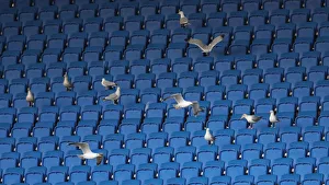 Brighton & Hove Albion vs. Sheffield Wednesday: FA Cup Clash at American Express Community Stadium (04JAN20)