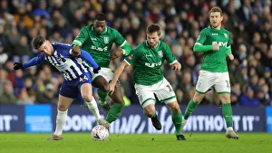 Brighton & Hove Albion vs. Sheffield Wednesday: FA Cup 3rd Round Battle at American Express Community Stadium (04.01.20)