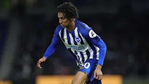 Brighton & Hove Albion vs. Sheffield Wednesday: FA Cup Clash at American Express Community Stadium (04JAN20)