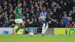 Brighton & Hove Albion vs. Sheffield Wednesday: FA Cup Clash at American Express Community Stadium (04JAN20)