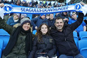 Brighton and Hove Albion vs. Aston Villa: A Premier League Clash at American Express Community Stadium (18th January 2020)