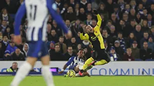 Brighton and Hove Albion vs. Watford: Premier League Showdown at American Express Community Stadium (08FEB20)