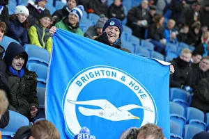 Brighton and Hove Albion vs. Crystal Palace: A Premier League Clash at American Express Community Stadium (29 February 2020)